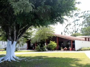clinica-de-recuperacao-frente